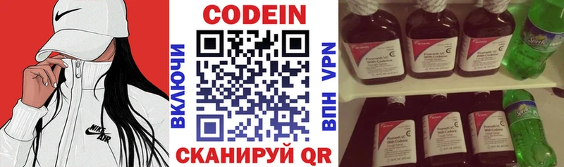 ссылка на мегу зеркало  Нестеров  Кодеиновый сироп Lean напиток Lean (лин)  как найти наркотики 
