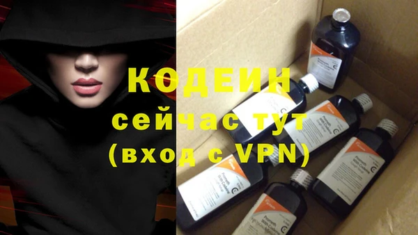 ПСИЛОЦИБИНОВЫЕ ГРИБЫ Абаза