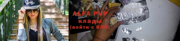 ПСИЛОЦИБИНОВЫЕ ГРИБЫ Абаза