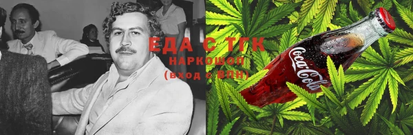 СК Алексин
