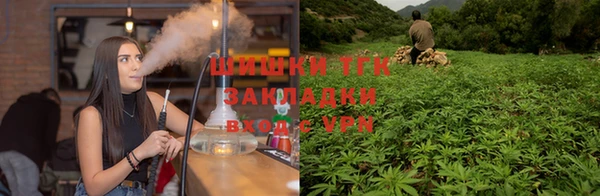 СК Алзамай