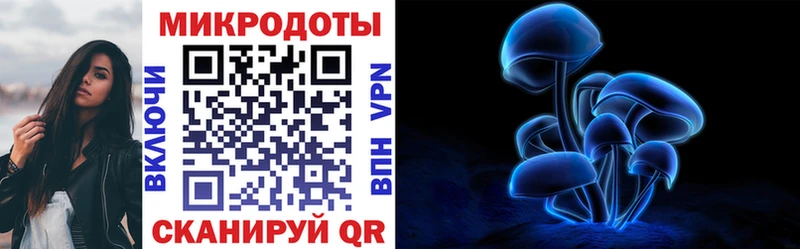 Псилоцибиновые грибы MAGIC MUSHROOMS  маркетплейс наркотические препараты  Нестеров 